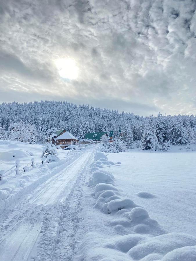 ŽabljakVikendice Itana别墅 外观 照片