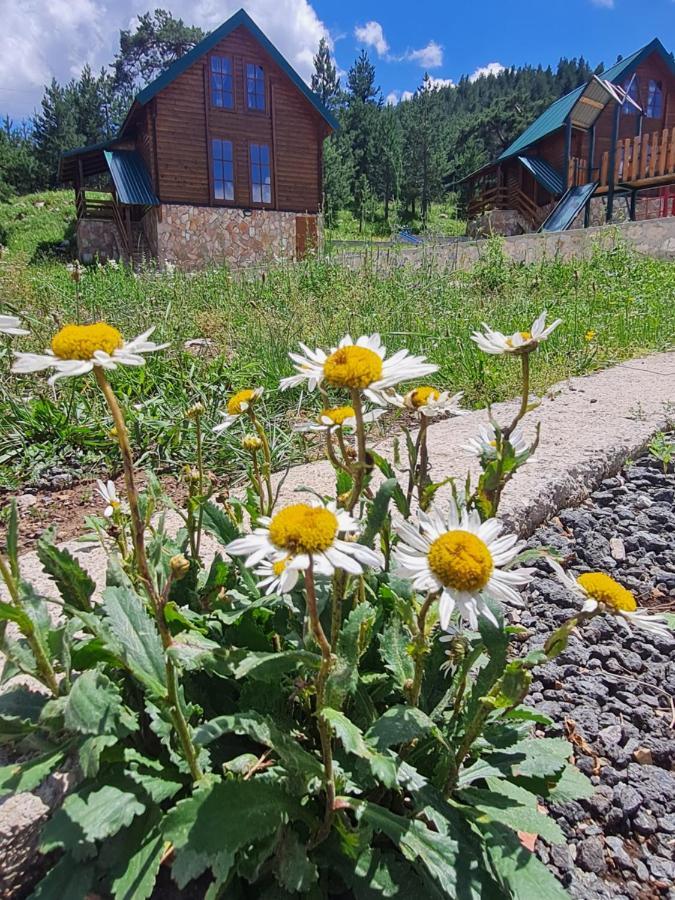 ŽabljakVikendice Itana别墅 外观 照片